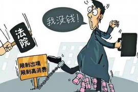 巴楚专业讨债公司有哪些核心服务？